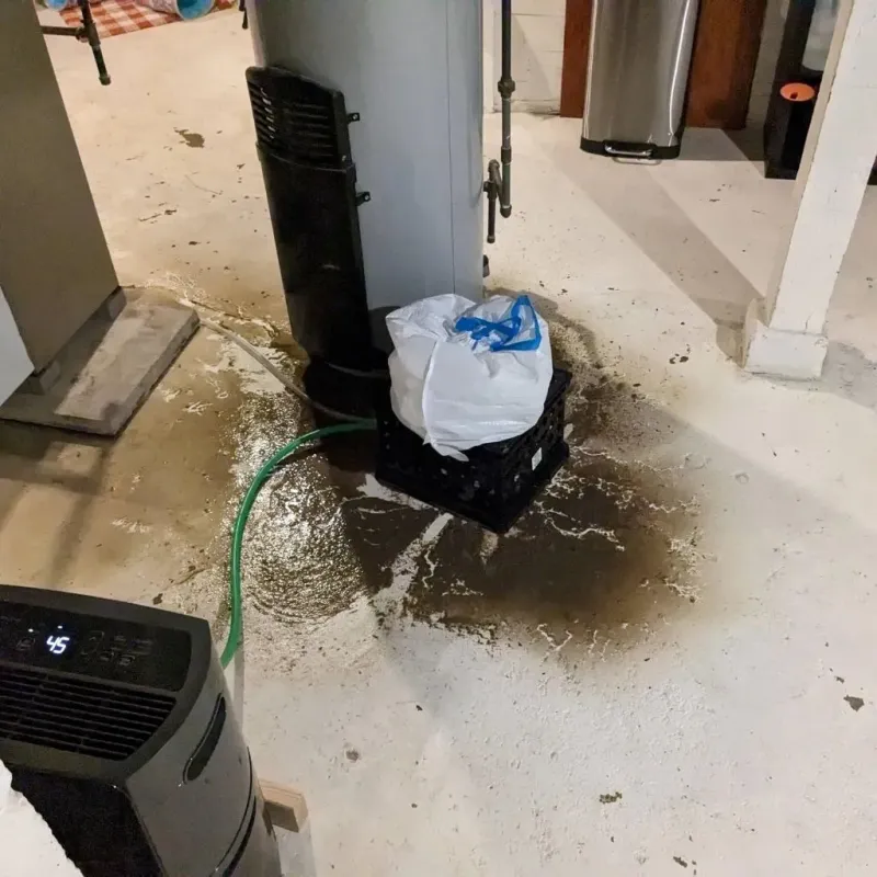 Sewage Backup Cleanup Service in Florala, AL